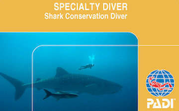 PADI shark conservation diver