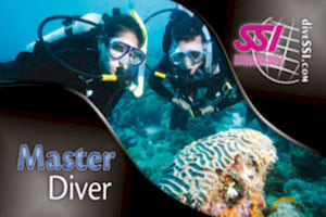 SSI master diver course