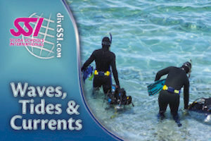 SSI waves, tides and currents course