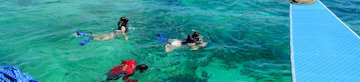 Cebu snorkeling tours and packages