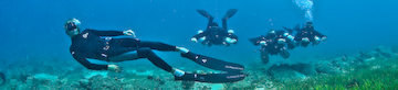 SCUBA diving courses