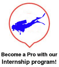 divemaster and dive instructor course internship training