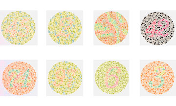 Colorblind Perception Test 