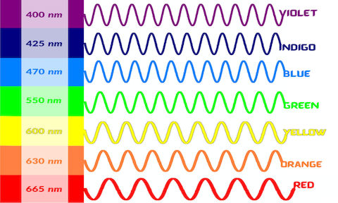 Three Color Wavelight Color Perception: Do we see the same color