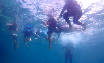 Children Swimming After The Corals Care 
