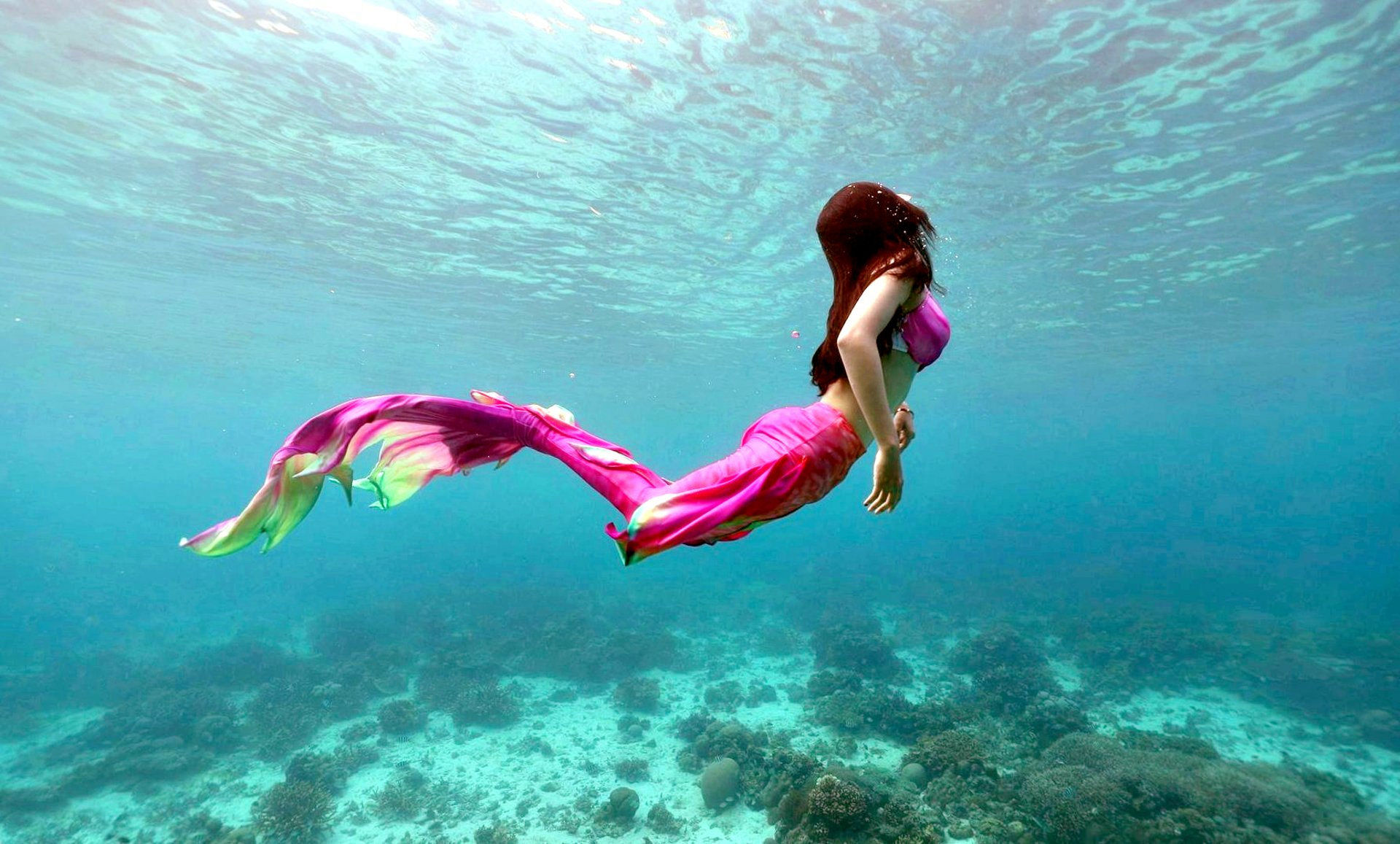 Mermairs Mermaid and Merman | Sirens and Merfolks Facts