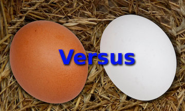 brown eggs vs white eggs