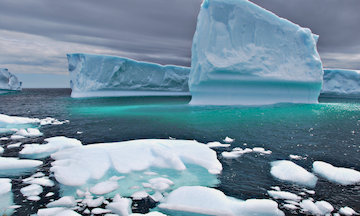 Icebergs In Ocean 