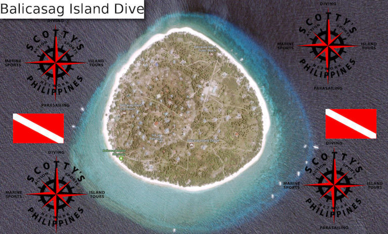 Balicasag Island is a diving site with sea turtles