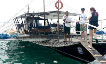 local bangka boat