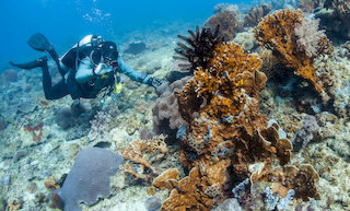 The PADI digital underwater photographer course