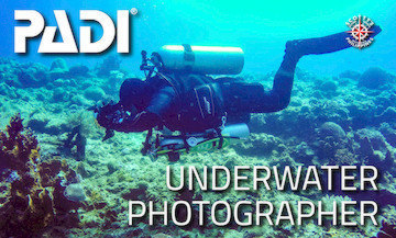 Digital underwater photography course