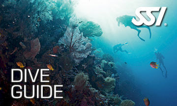 Dive Guide course