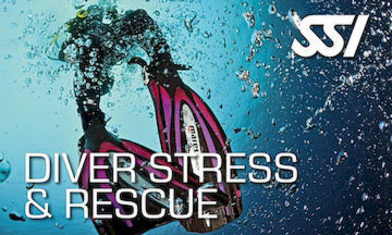 The Stress and Rescue course