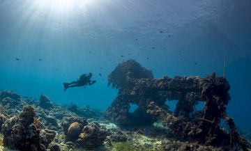 Diving the Kontiki reef