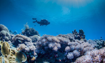diver drifting underwater
