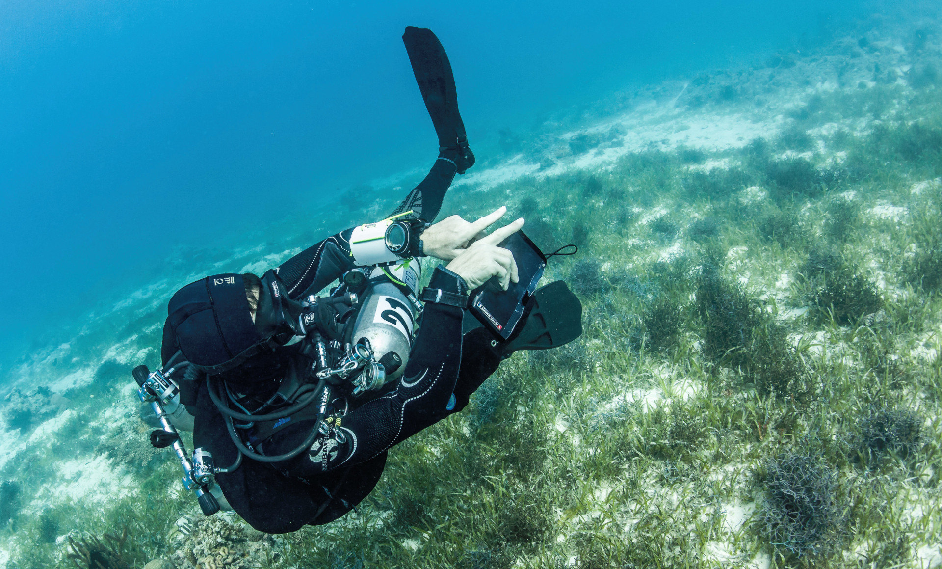 Learn the Science of Diving course