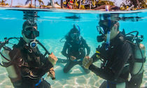 SCUBA diving courses